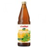 Bautura acidulata bio pe baza de kombucha, 750ml 