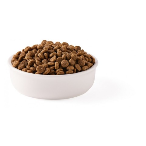 Animale, Hrana uscata bio pentru pisici, cu peste, 31% proteina si 14% grasimi, fara cereale, 800g, biomag.ro