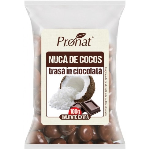 Nuca de cocos trasa in ciocolata, 100g