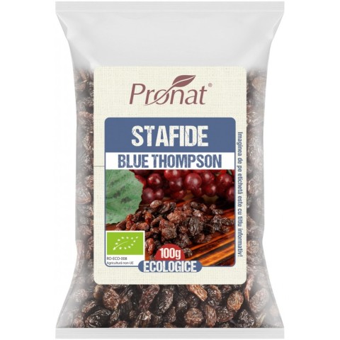 Fructe uscate, Stafide bio blue thompson 100g, biomag.ro